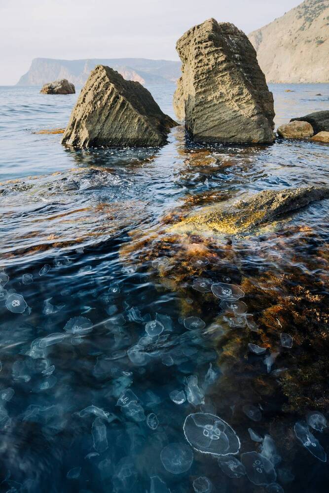 Photograph by Андрей Котенко