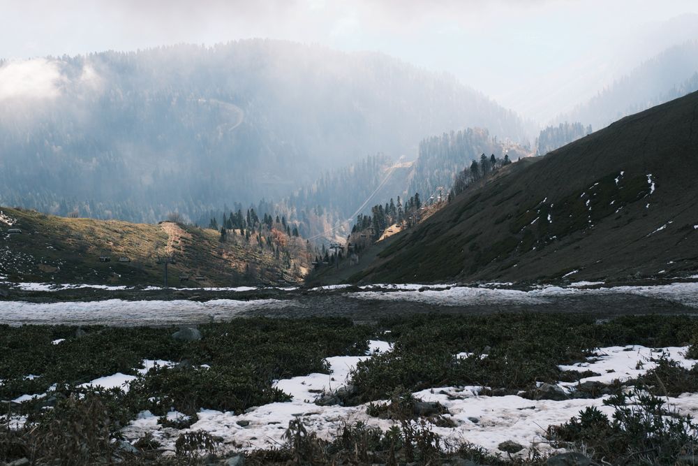 Photograph by Игорь Сержант