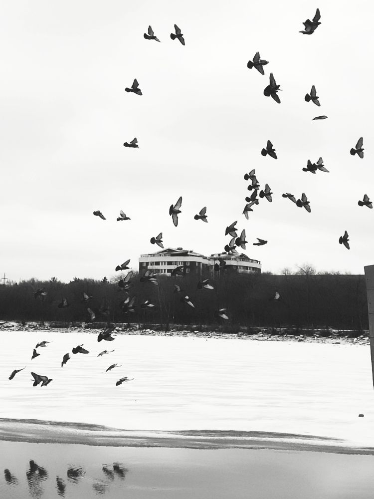 Photograph by Ирина Строкова