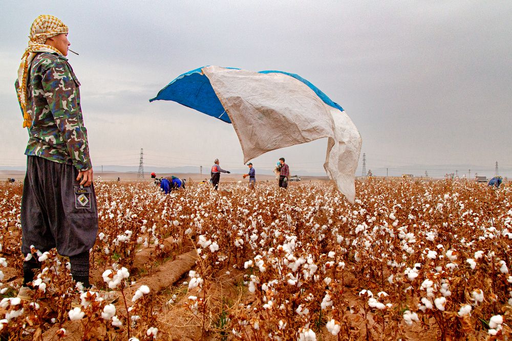 Photograph by Morteza pahang