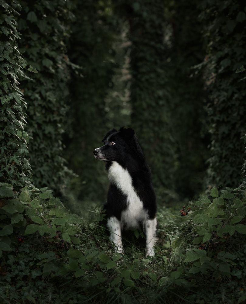 Photograph by Monika Maciejewska