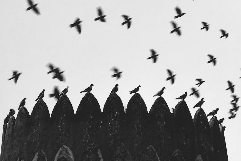 Photograph by Ivan Vetoshkin