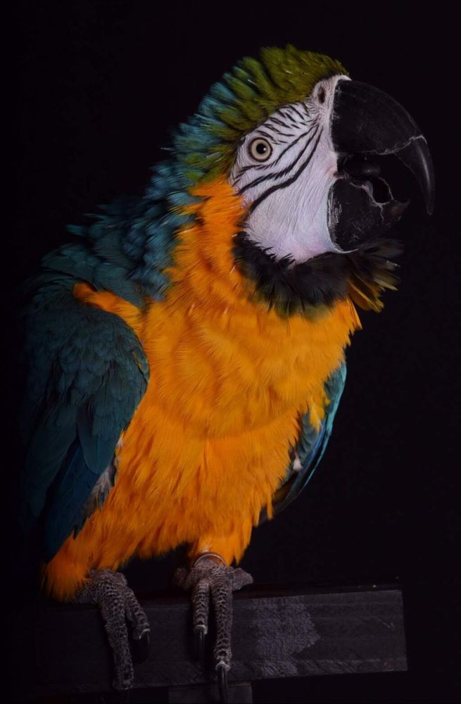 Photograph by Regina Belomytseva-Dahan