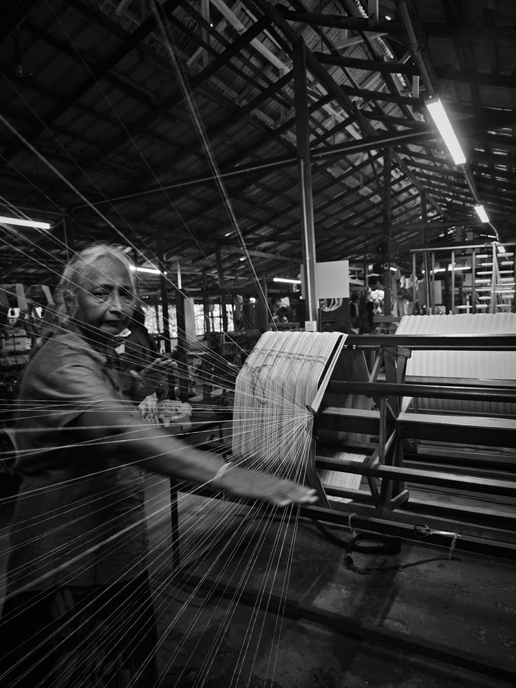 Photograph by Pouyan Safavi