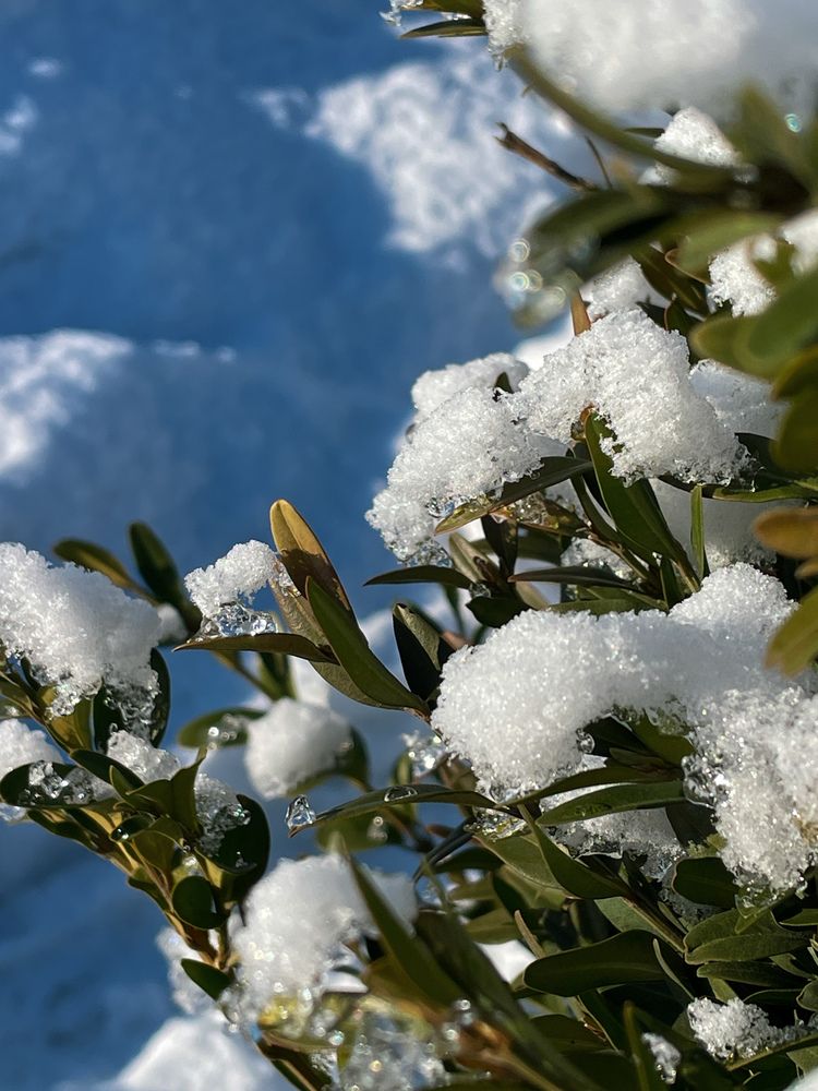 Photograph by Светлана Савина