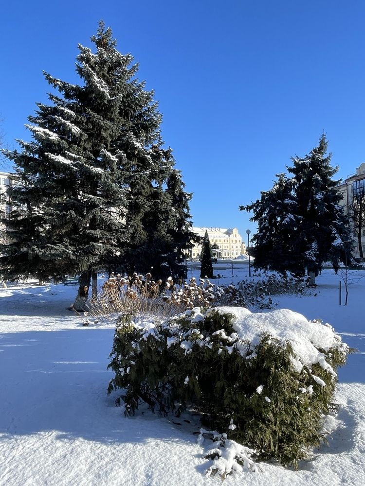 Photograph by Светлана Савина