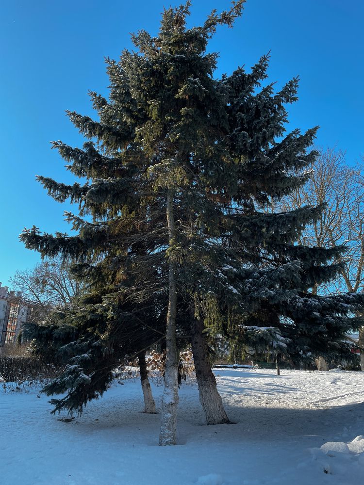 Photograph by Светлана Савина