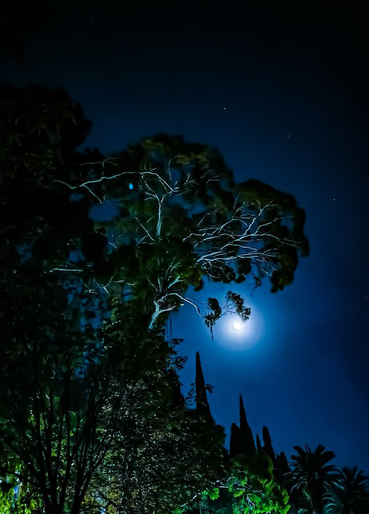 Photograph by Анна Липилина