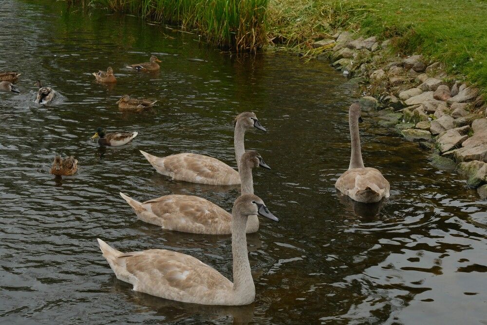 Photograph by Лариса Андреева