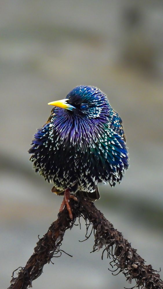 Photograph by silvia vidal