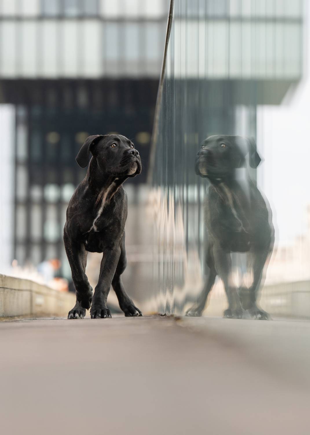 Face to Face Face to Face