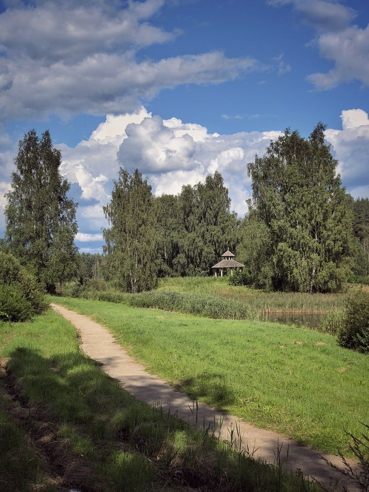 Фотография автора Мария Филиппова