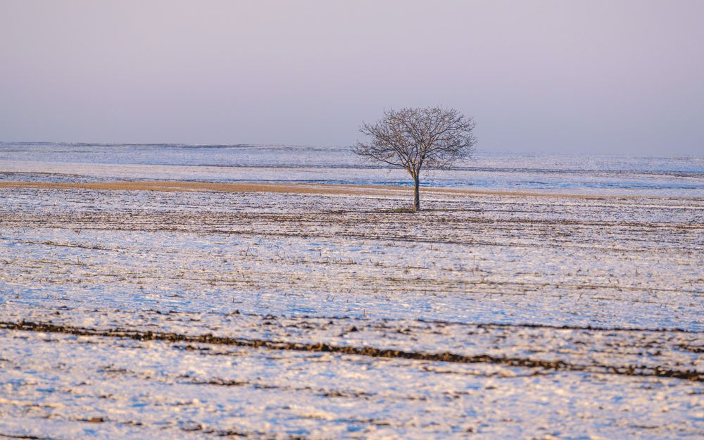 Photograph by Stanislav Volkov