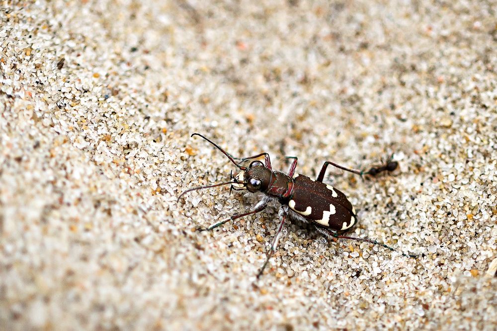 Photograph by Матюхина Наталья