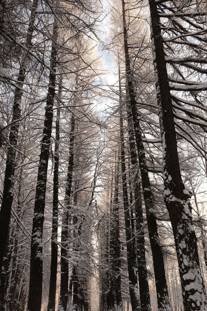 Photograph by Лариса Андреева