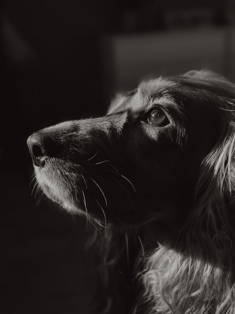 Photograph by Ксения Литвиненко