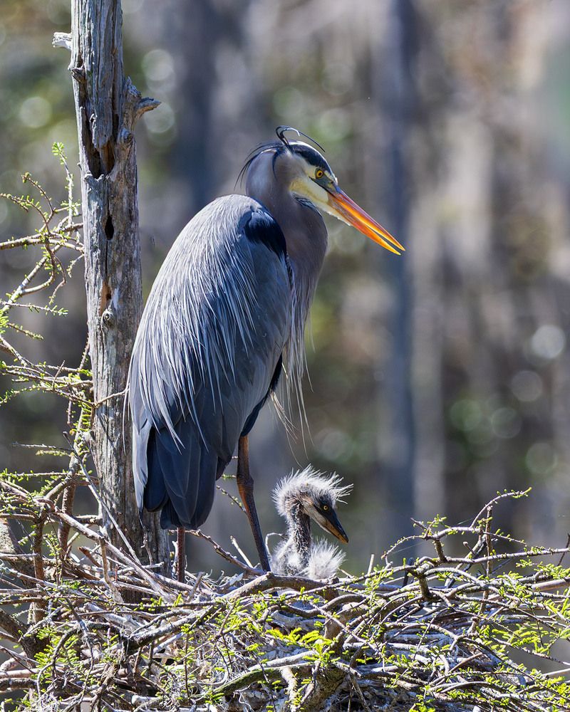Photograph by Леонид Дьяченко