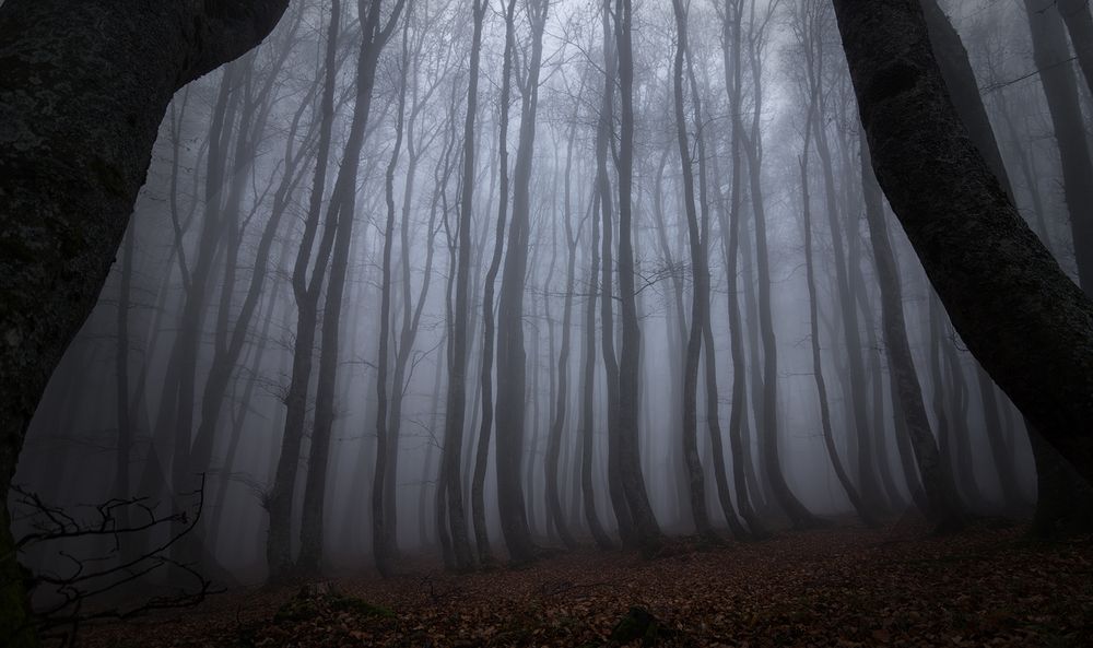 Soul of nature