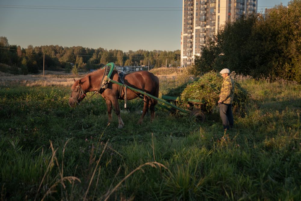 Photograph by Лариса Андреева