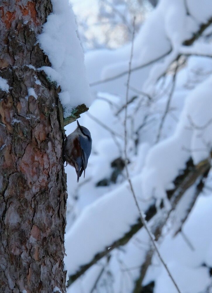 Photograph by Лариса Андреева