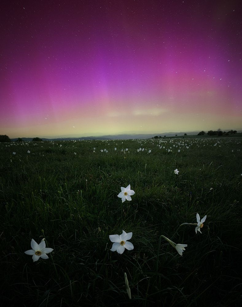 Photograph by William Battistini