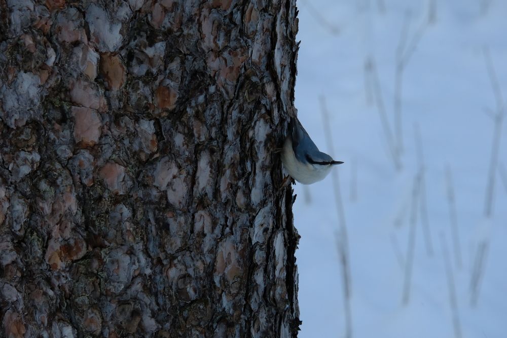 Photograph by Лариса Андреева