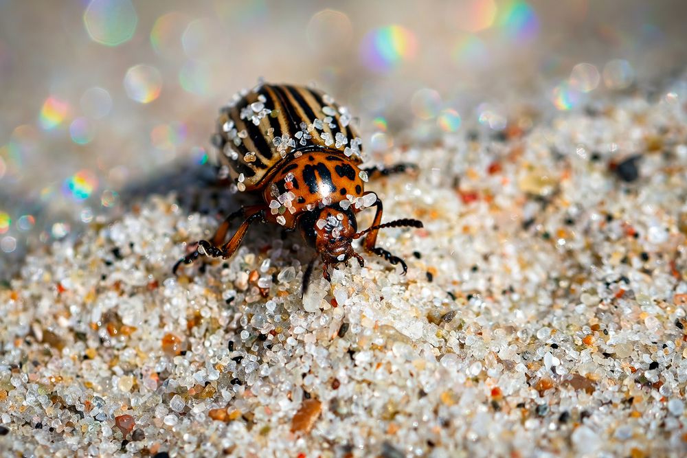 Photograph by Матюхина Наталья