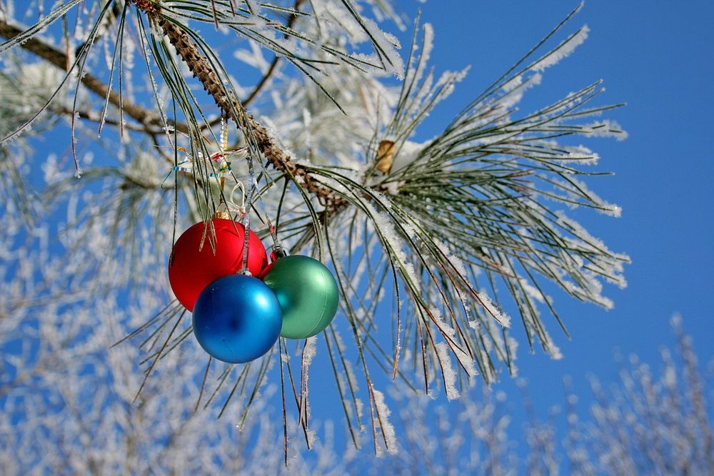 Фотография автора Александр Челмодеев