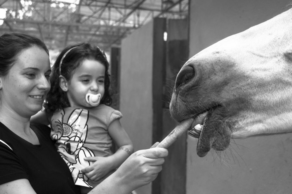 Photograph by roselino de oliveira rocha