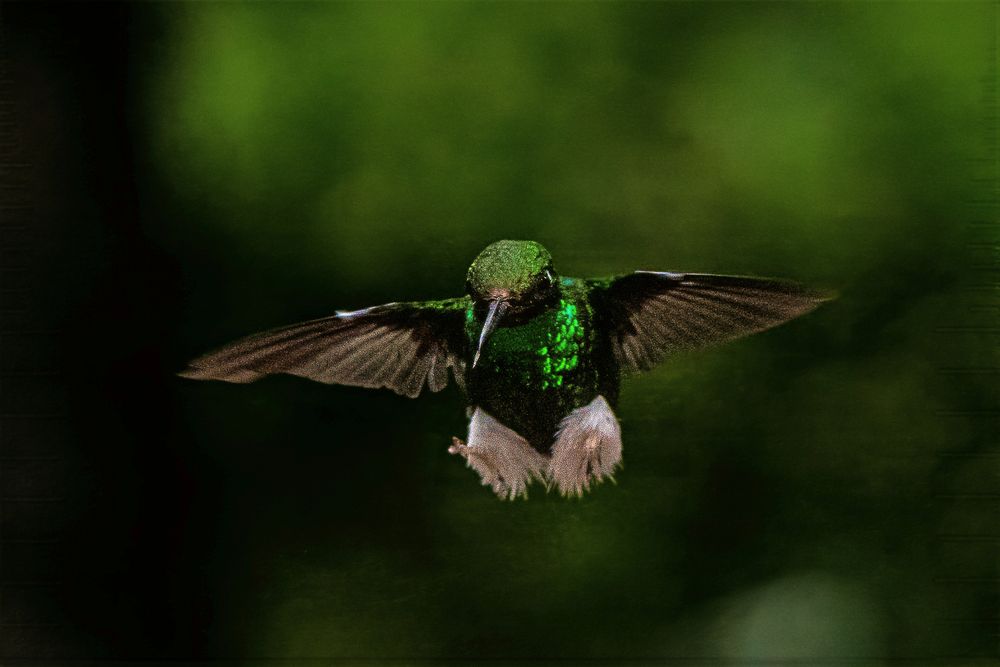 Photograph by Julia A Caesar