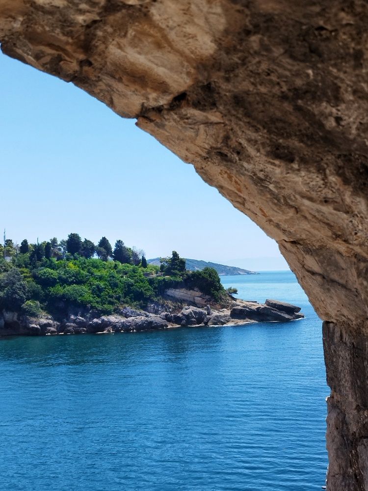 Фотография автора JELENA VASIC