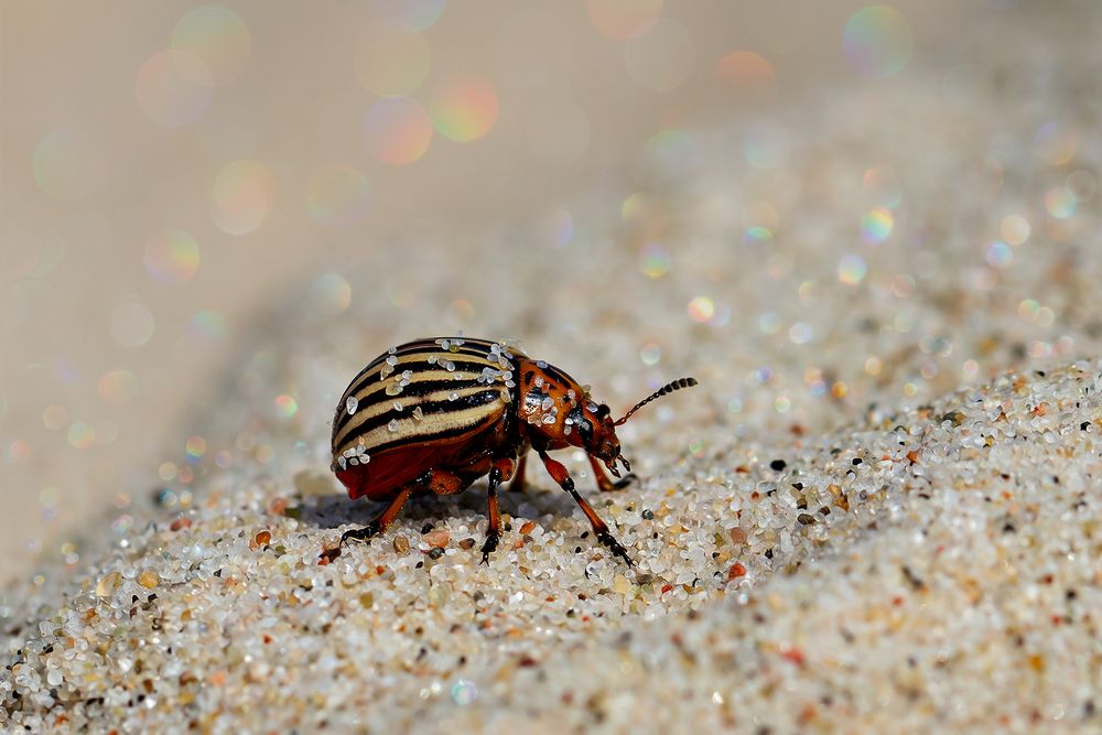 Photograph by Матюхина Наталья