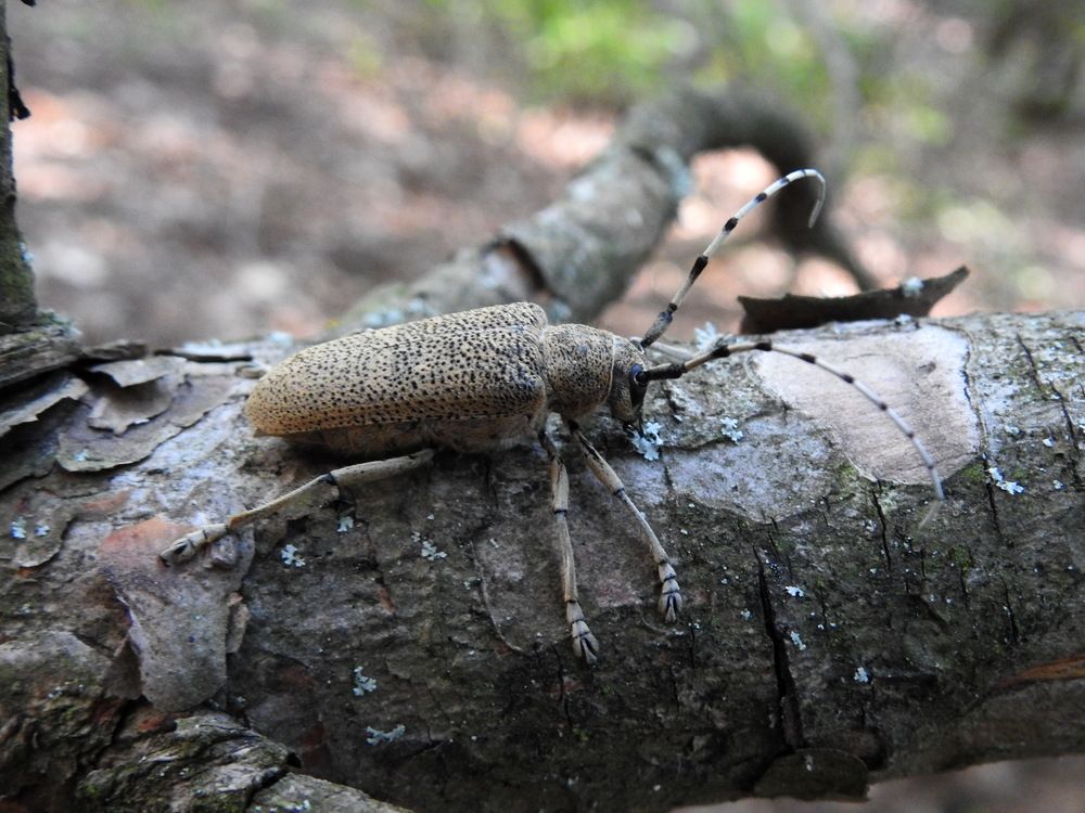 Photograph by Олеся Дейнеко