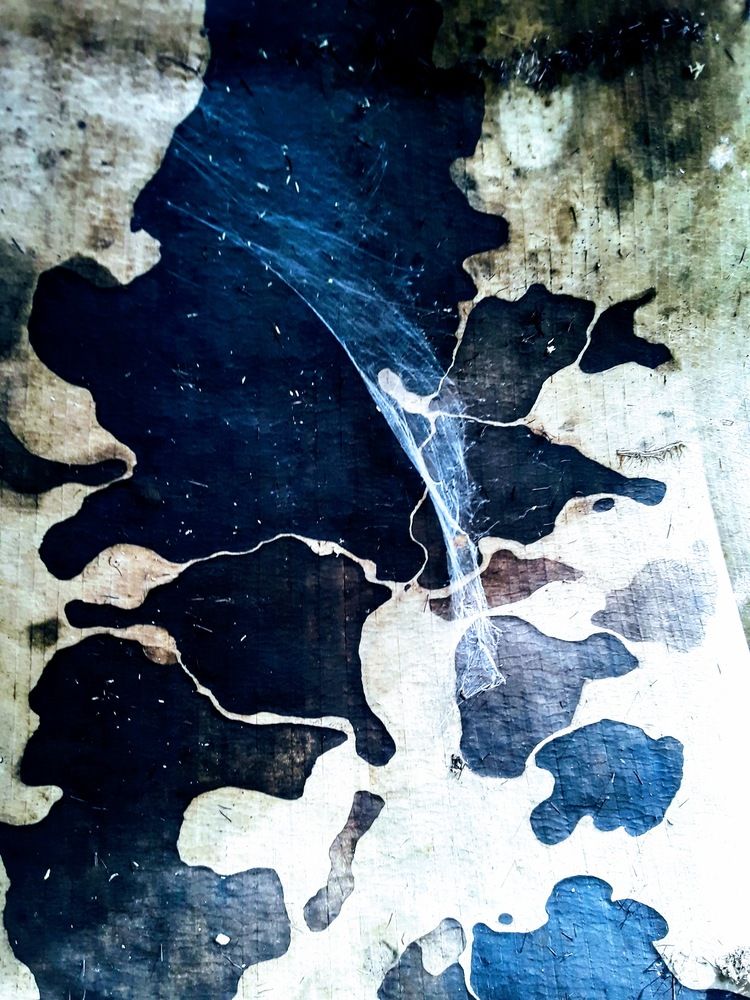 Photograph by María Claudia Salcedo