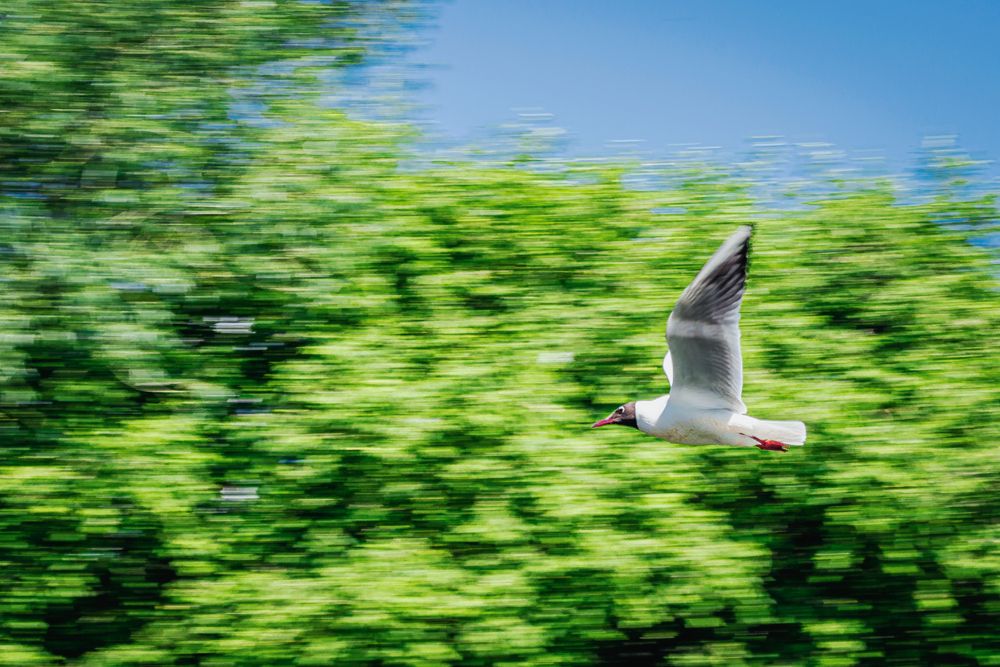Photograph by Илья Болдырев-Никитин