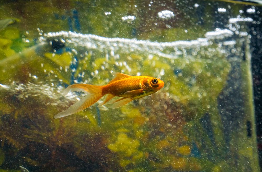 Photograph by Hassam uddin