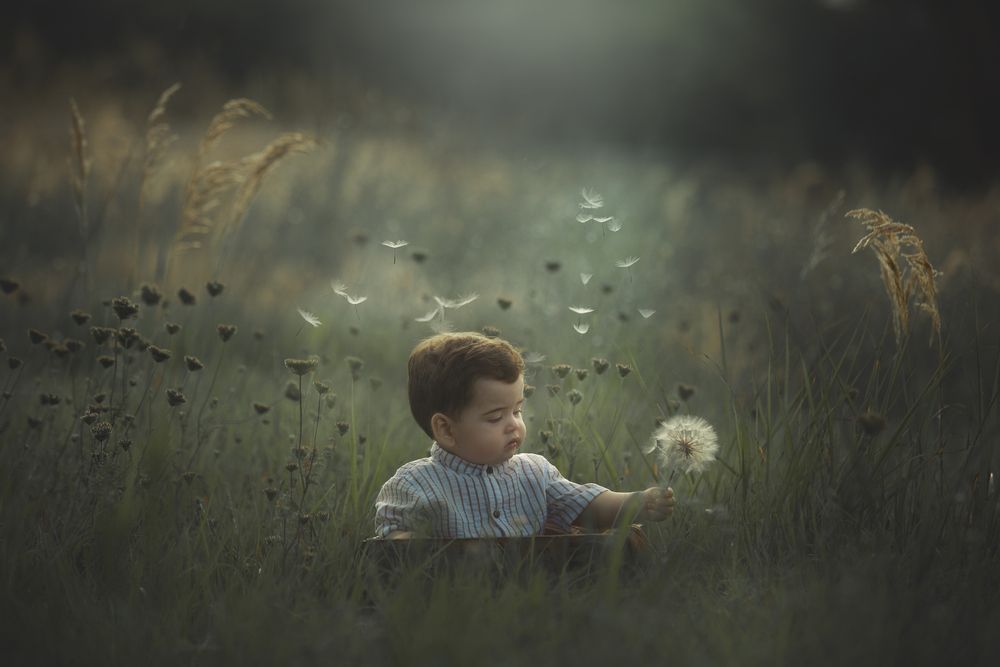 Photograph by Rebeca Bongiovanni