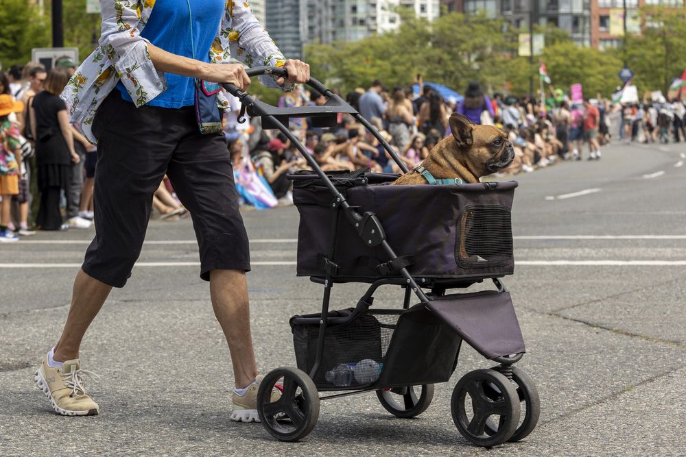 Фотография автора Евгений Цапенко