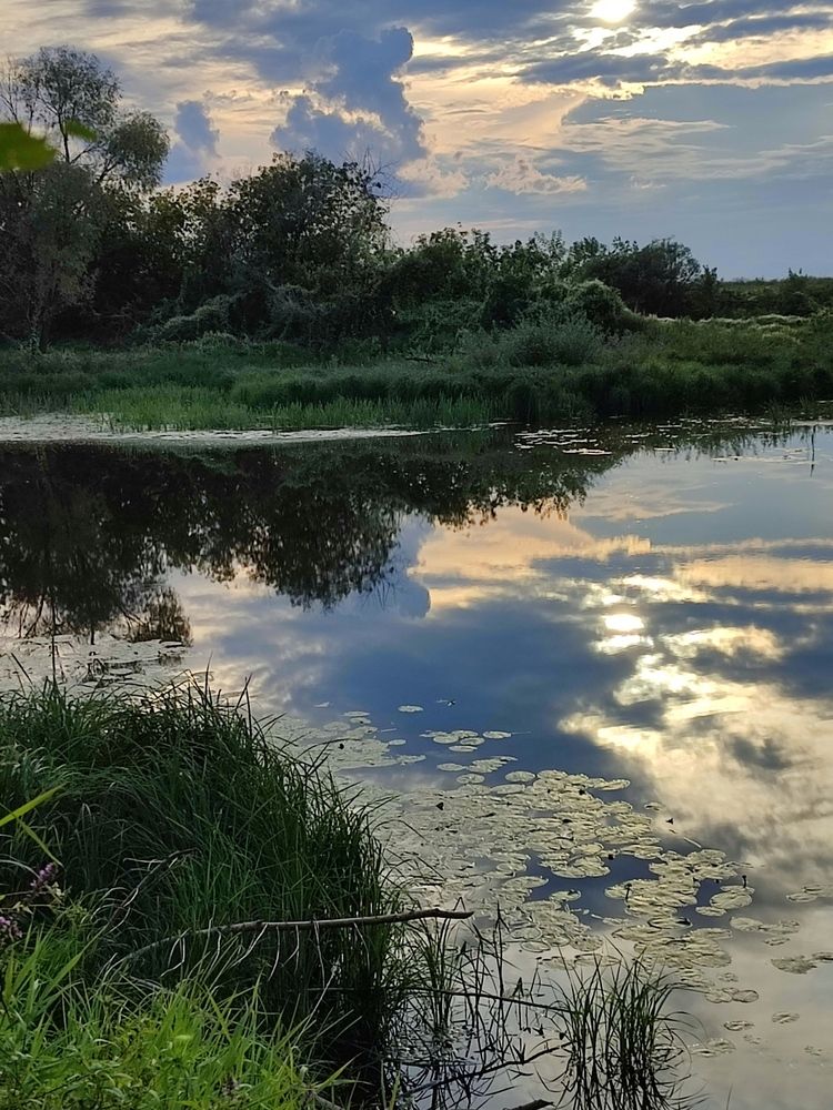 Photograph by Galina Novichkova