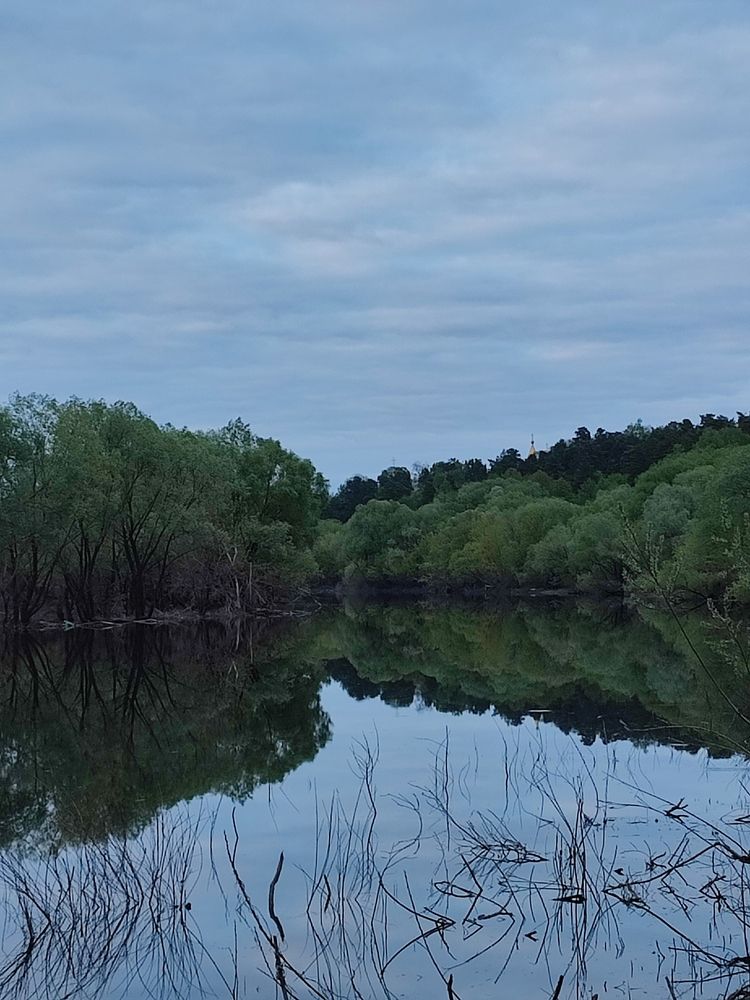 Photograph by Galina Novichkova