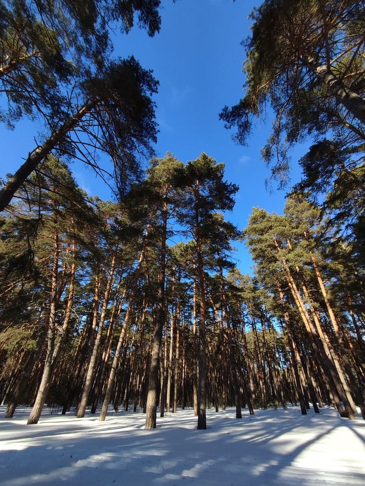 Photograph by Galina Novichkova