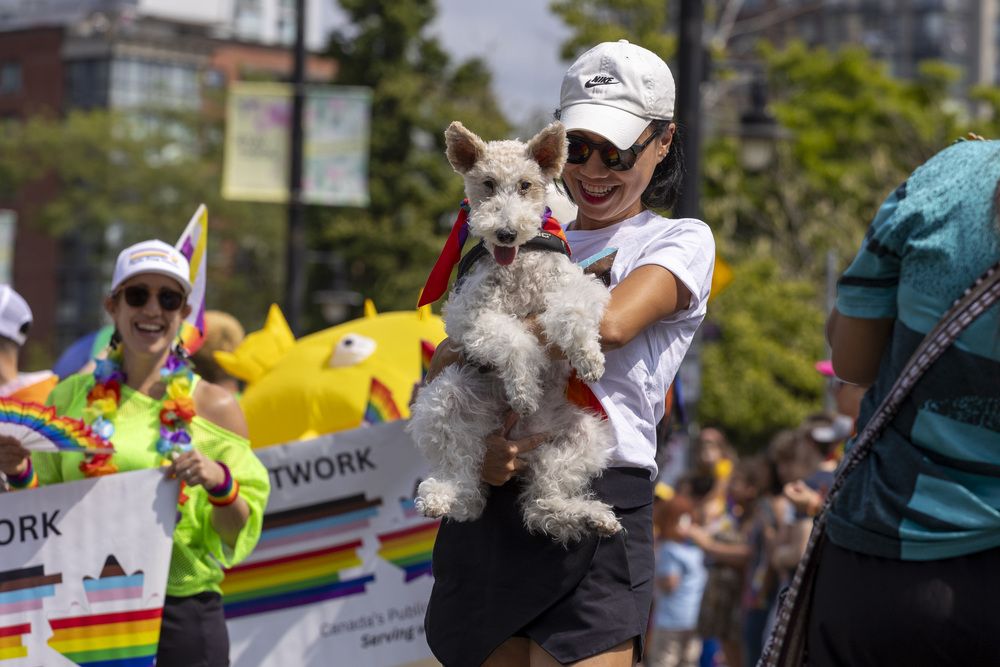 Фотография автора Евгений Цапенко