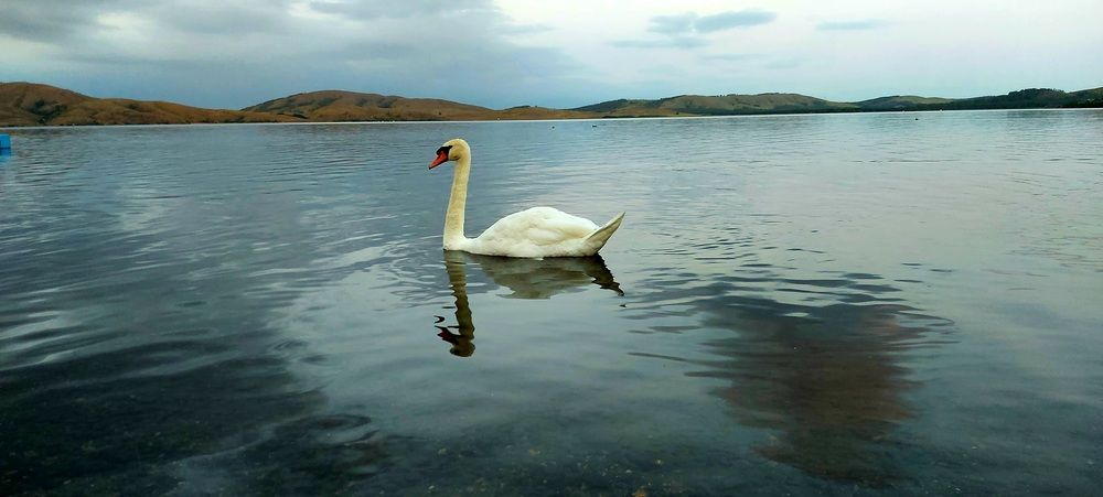 Photograph by Алена Марченко