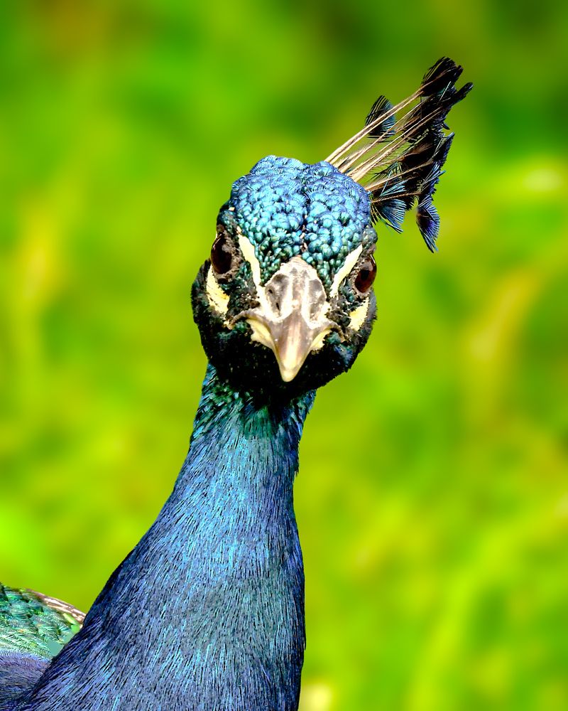 Photograph by silvia vidal