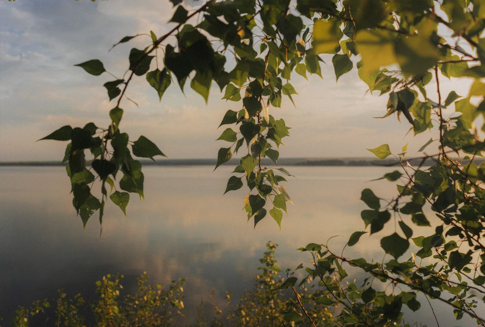 Фотография автора Сухенко Олег