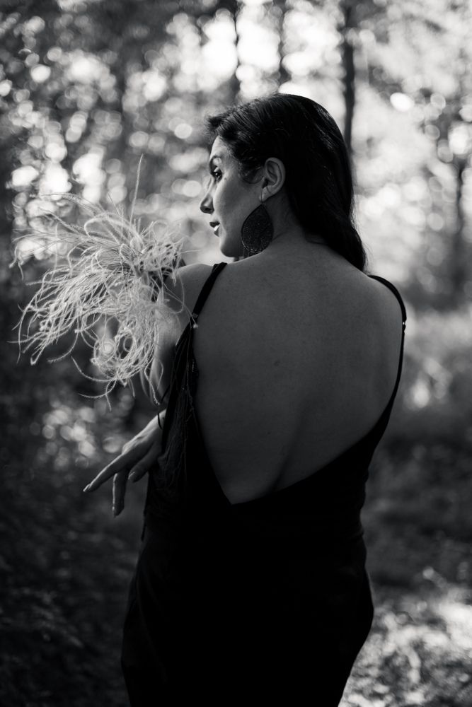 Between Silence and Feathers