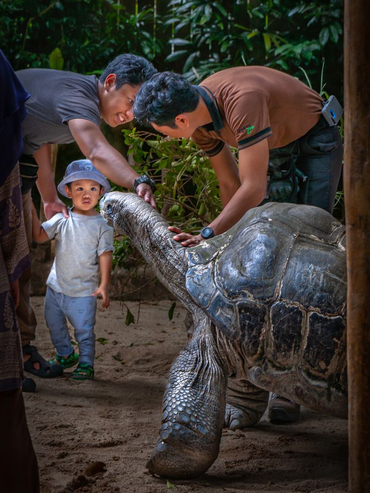 Photograph by Ольга Мусиенко