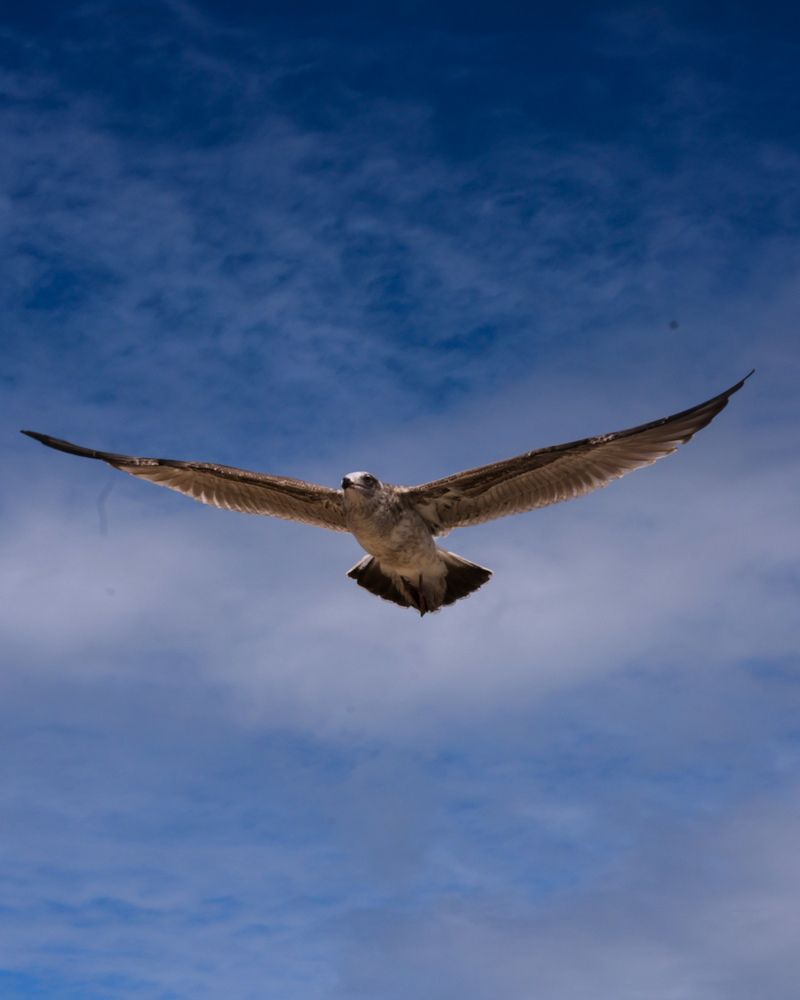 Photograph by Олеся Кузьмичева