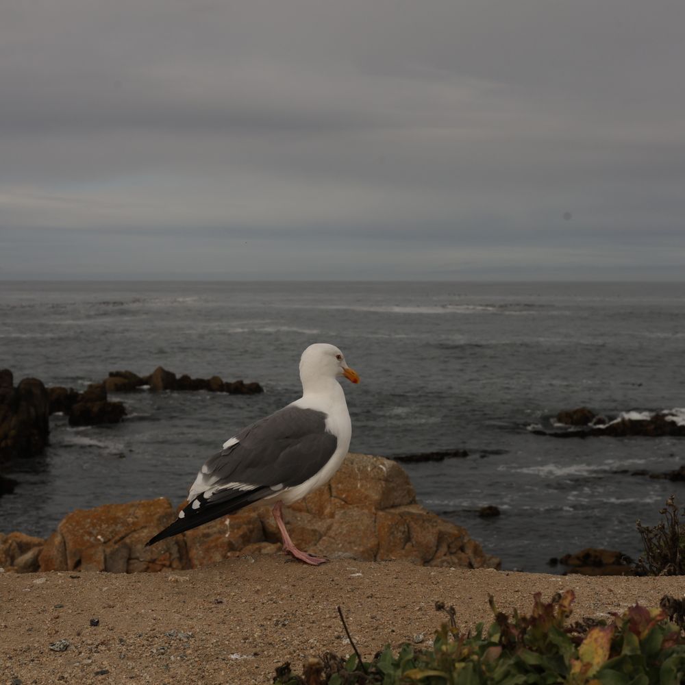 Photograph by Олеся Кузьмичева