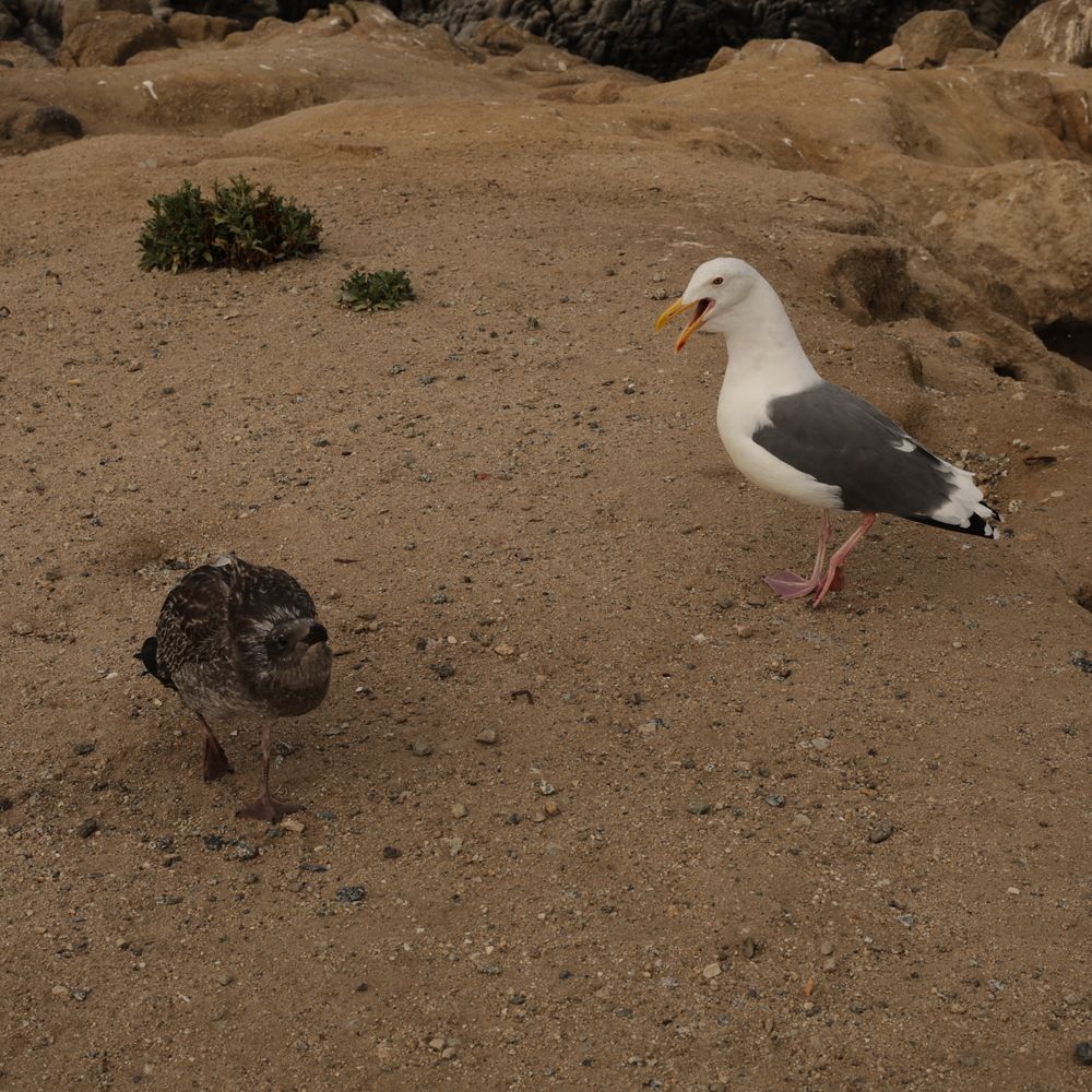 Photograph by Олеся Кузьмичева